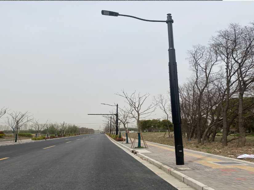 海东市上海综合杆 太阳能路灯工程